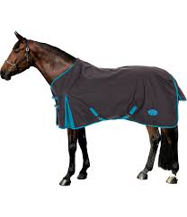 Turnout Rugs